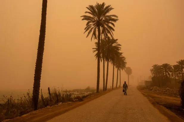 بغداد تطرح «الورقة الخضراء» بعد «البيضاء» لمواجهة التغير المناخي