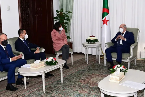 Cezayir'deki diplomatik hareketliliğin arkasında ne var?