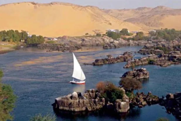 Mısır’da tabiat koruma alanında çıkan yangın, arkasında çevresel ve hukuki sonuçlar bıraktı