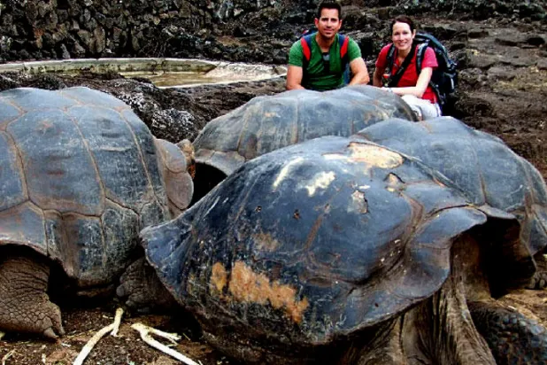 اكتشاف نوع جديد من السلاحف  بفضل الحمض النووي