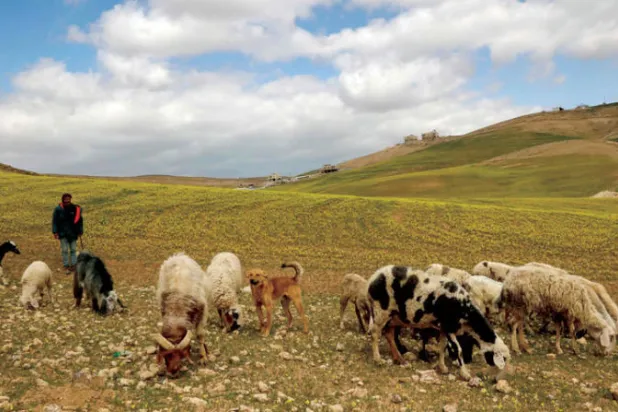 حركة يهودية أميركية توقف «سياحة البيئة» إلى إسرائيل