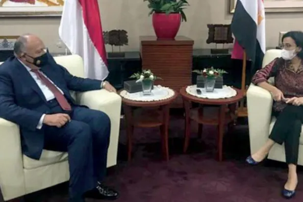 Cairo, Jakarta Agree to Bolster Economic, Development Cooperation  