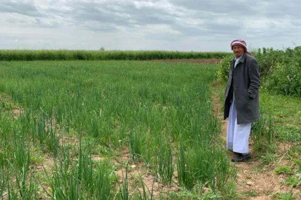 «الزراعة» العراقية: نمر بأزمة كبيرة والدعم الحكومي ضعيف