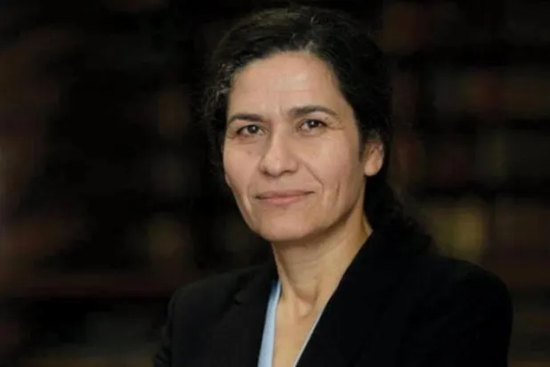 DSM Yürütme Kurulu Başkanı İlham Ahmed: Türkiye Afrin’den çıkarılmalı