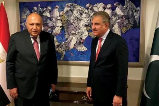 Mısır, Pakistan ile iş birliğini ilerletme konusundaki arzusunu vurguladı