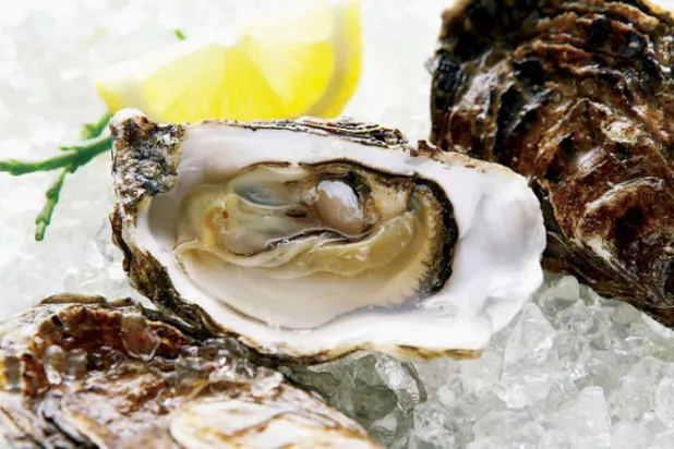 أفضل المحار في نورماندي