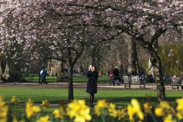 ربيع بريطانيا... مرحباً بالدفء