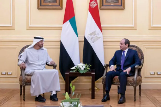 تشديد مصري ـ إماراتي على تعزيز التضامن العربي