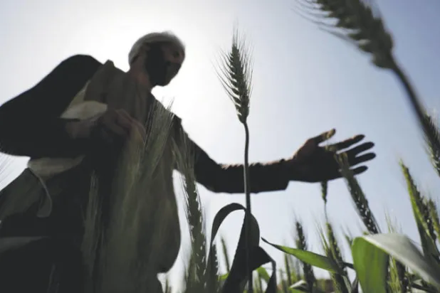 الحرب الروسية - الأوكرانية في مرآة المصريين... توازن وغلاء وفُكاهة