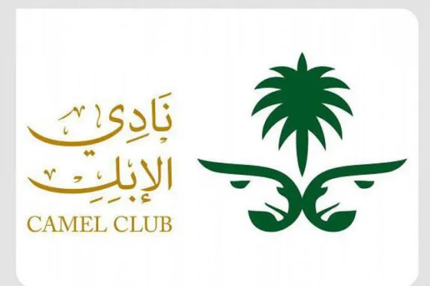 Suudi Arabistan Deve Kulübü, Kraliyet Deve Şirketi’nin kuruluşuna hazırlanıyor