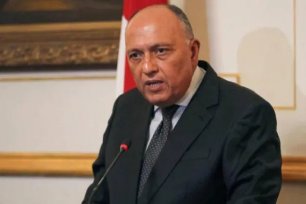 Moscow Reassures Cairo on Completion of El-Dabaa Nuclear Plant