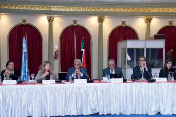 Williams, ‘anayasal zemin’ meselesi nedeniyle Libyalı temsilciler tarafından eleştiriliyor 