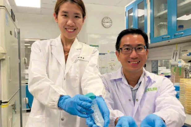 تغليف بكتيريا نافعة لتوصيلها  بشكل فعال للأمعاء البشرية