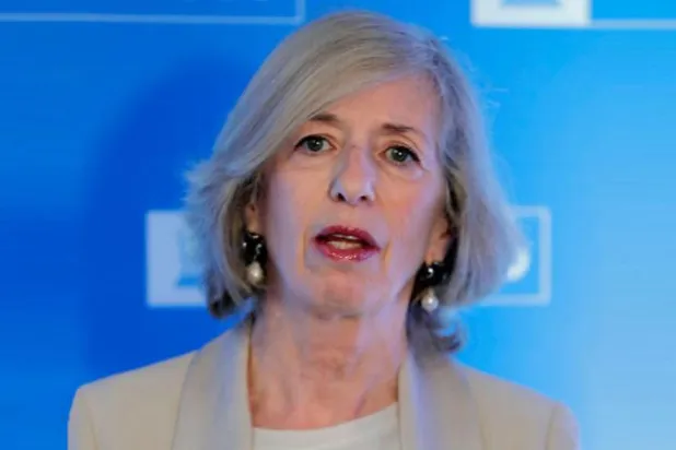 Giannini Şarku’l Avsat’a konuştu: Eğitimde sorunları çözmek Lübnan hükümetinin sorumluluğunda