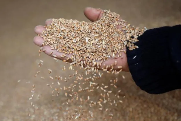 Ukrayna, Lübnan'a tahıl ihraç edebilmek için güvenli lojistik güzergahları üzerinde çalışıyor