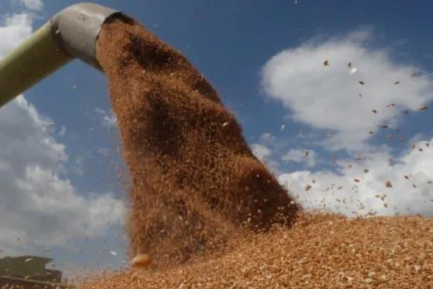 Irak 3 ay süreyle tüm gıda ürünlerinde ithalata izin verecek