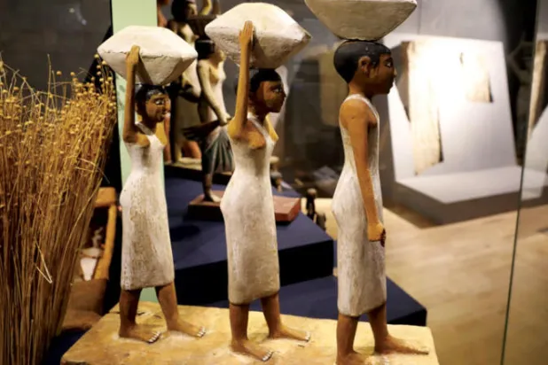 مصر تواجه أزمة الغذاء العالمية باستراتيجية متعددة المحاور