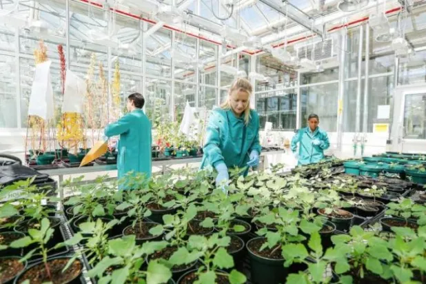 Kral Abdullah Bilim ve Teknoloji Üniversitesi: 2030 Vizyonu hedeflerini desteklemek istiyoruz