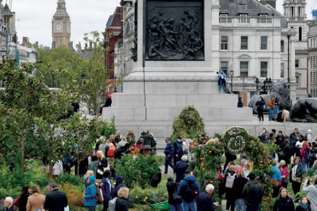 «ميدان ترافالغار» اللندني يستضيف روضة من الزهور البرية ليوم واحد فقط
