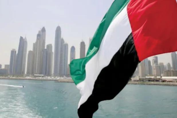 الإمارات تعلن تنويع مصادر التسليح و«تطوير صناعاتنا العسكرية الوطنية»