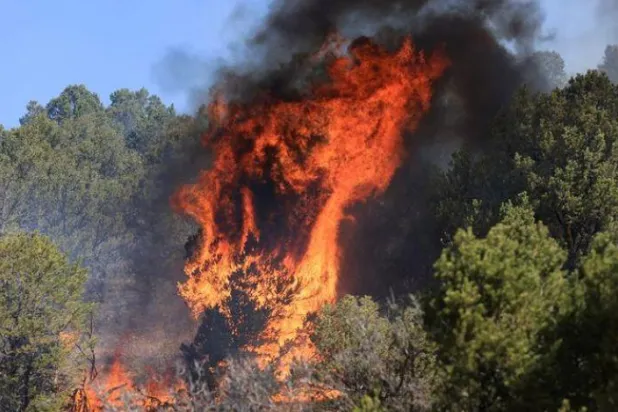 ABD’de binlerce kişi büyük orman yangını karşısında evlerini tahliye etmeyi reddediyor