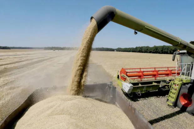 بعد المناخ... الأمن الغذائي ضحية الجائحة والحرب