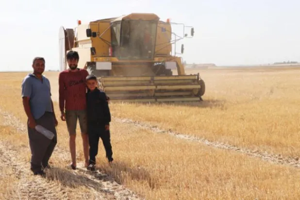 Wheat harvest in 2021 in the town of Al-Darbasiyah, north of Hasaka Province (Asharq Al-Awsat)
