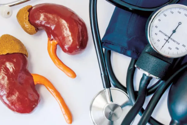 6 حقائق لعلاقة الكليتين بارتفاع ضغط الدم