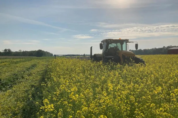 هناك الآلاف من النباتات الصالحة للأكل في جميع أنحاء العالم (رويترز)