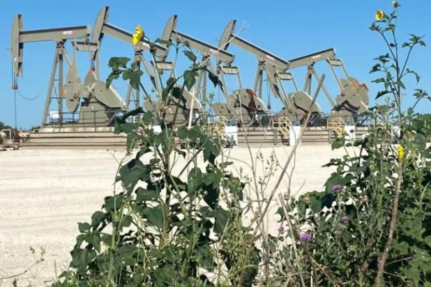 Teksas'ta bir petrol kuyusu (Reuters)
