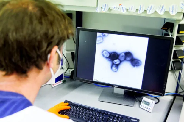 اللقاحات القديمة الخاصة بالجدري يمكن أن تعمل بكفاءة مع جدري القردة (رويترز)