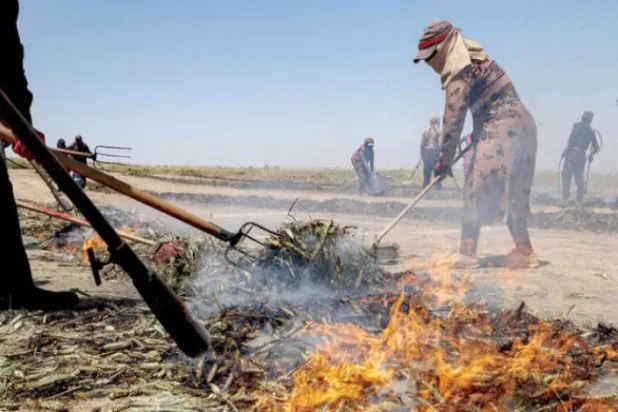 Labourers roast durum wheat to produce freekeh after harvesting a field on May 20, 2022, in the Syrian town of Binnish in the rebel-held province of Idlib in northwestern Syria. (Photo by OMAR HAJ KADOUR / AFP)
