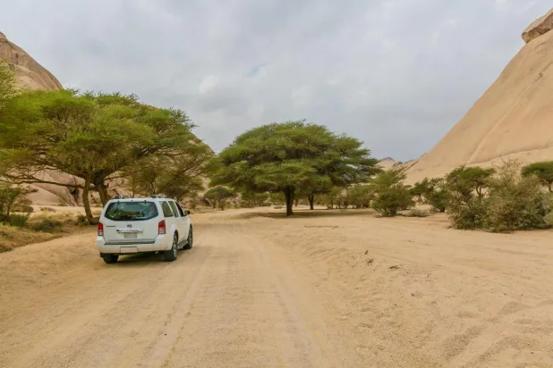 
 
دولت سعودی برنامه توسعه محیط زیست پایدار را با درختکاری و بیابان زدایی اجرا می کند (الشرق الاوسط)