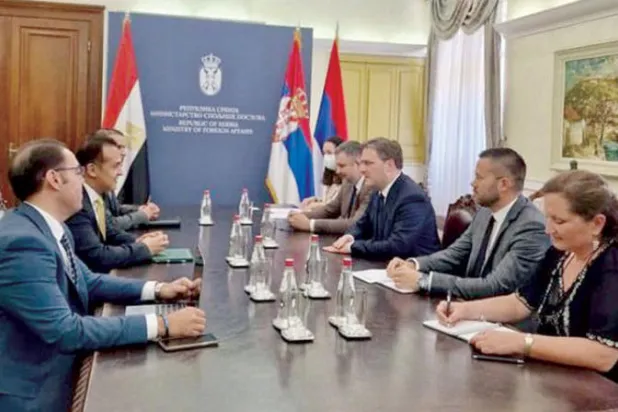 نيكولا سيلاكوفيتش خلال لقائه سفير مصر في صربيا (الخارجية المصرية)