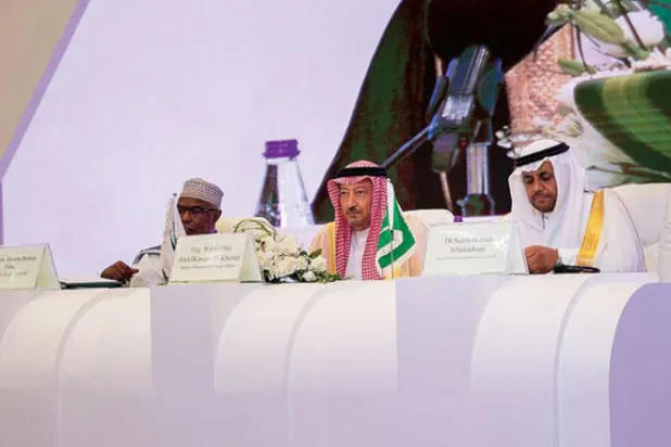 نائب وزير الخارجية السعودية والأمين العام لمنظمة التعاون الإسلامي خلال المؤتمر أمس (واس)