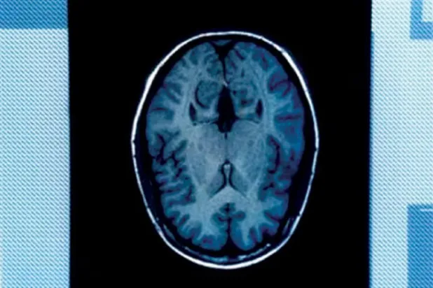 مخك يتحدث في السياسة (رويترز)