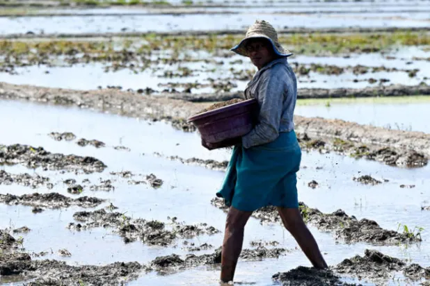 تعاني سريلانكا ازمة اقتصادية عنيفة تطال كافة الجوانب من غذاء إلى وقود ونقص في العملات (أ ف ب)