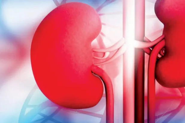 خطوات طبية لتقييم ضعف وظائف الكلى