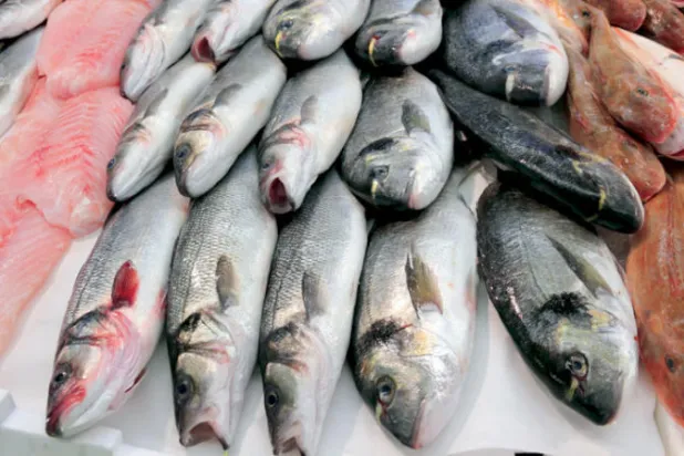 مخاوف من آثار الملوثات في السمك (شترستوك)