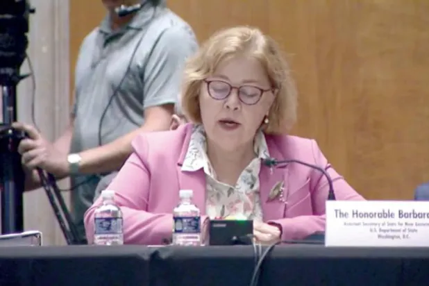 Leaf addressing the Senate Foreign Affairs Committee. (Screengrab) 