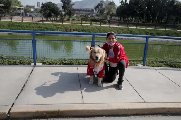 الكلاب تمكنت من تطوير مهارات التفاعل والتواصل مع الناس (رويترز)