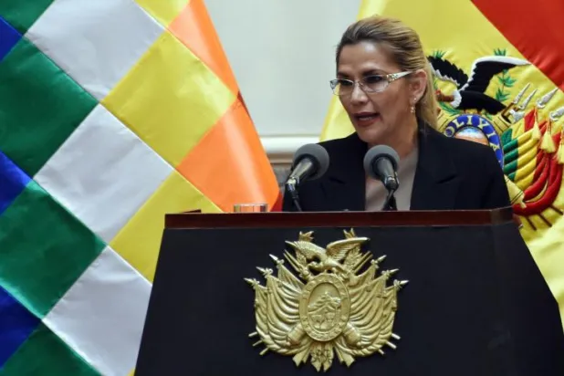 جانين أنيز في لاباز في 28 يناير 2020 (أ.ف.ب)