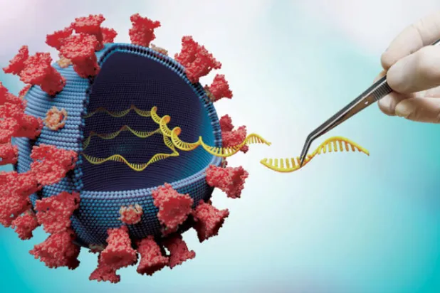 شكوك في تخليق «كورونا» مختبرياً بعد تغيّر بروتينه الرئيسي