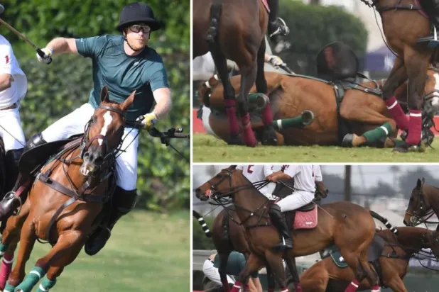 الأمير البريطاني هاري يظهر على الأرض بعد سقوطه عن الحصان خلال مباراة في كاليفورنيا (وسائل إعلام)