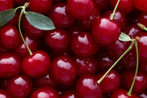 تعرّف على فوائد تناول الكرز ليلا !