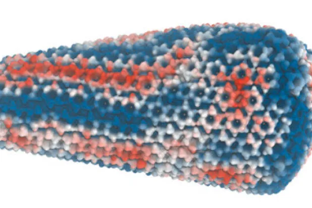 محاكاة لشكل القفيصة الخاصة بالفيروس المسبب للإيدز (مركز تكساس للحوسبة المتقدمة)