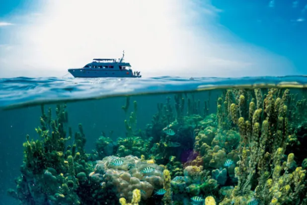 هدير محركات القوارب ينتقل إلى مسافات بعيدة في أعماق المياه