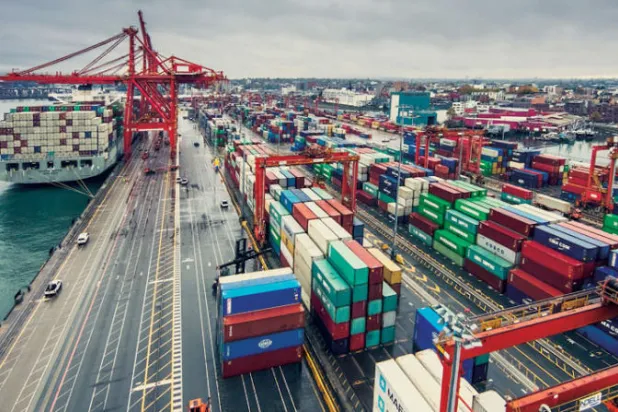 تهدف الإمارات من خلال الاتفاقيات الاقتصادية لإزالة أو تخفيض الرسوم الجمركية مع مجموعة مختارة بعناية من الأسواق (وام)