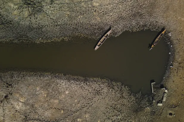 نخل های تشنه آب در جنوب عراق