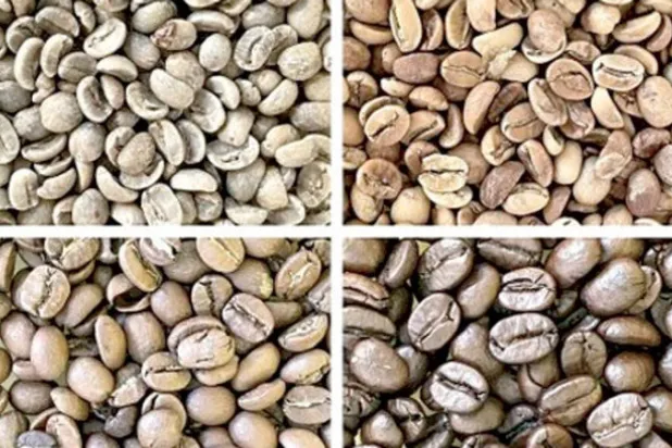 التطبيق يحدد درجة تحميص حبوب البن من لونها (فريق البحث)